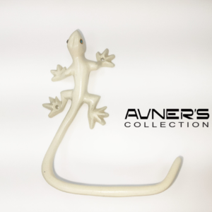 אביזרים לשירותים